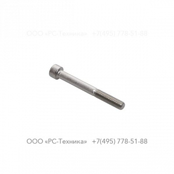 4810079366 SCREW