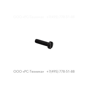 9232012490 SCREW