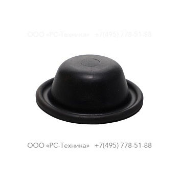1619184600 DIAPHRAGM