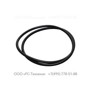 2205262546 FLUORO. O-RING 236X5.3