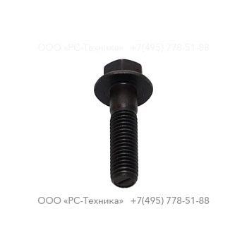 0147300018 SCREW M6SF 8.8 M10X40 OB