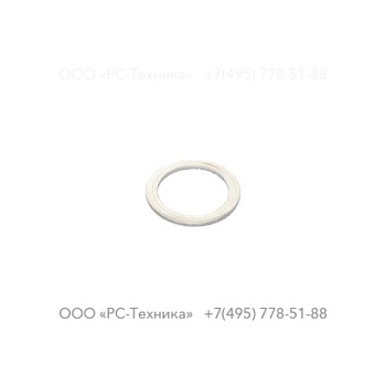 4810075948 SEALING RING