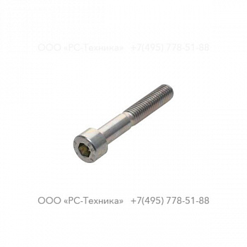 4810049748 SCREW