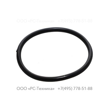 2205431426 O-RING FLUORIDE