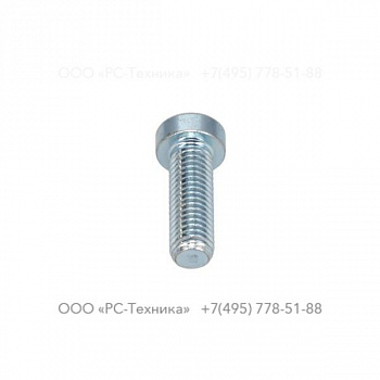 0215000375 SCREW