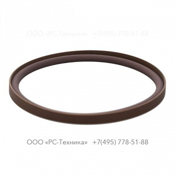 1619619900 SEAL RING