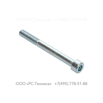 0211110251 HEX. SOCK M10X100X8.8