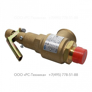 1092065110 SAFETY VALVE