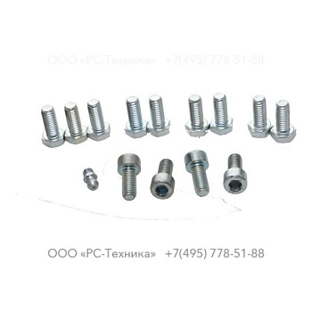 4810015166 SET OF SCREWS V 30-2 G
