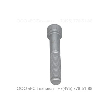 0211196316 HEX. SOCK M12X70X12.9