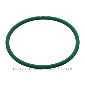 0663210969 O-RING