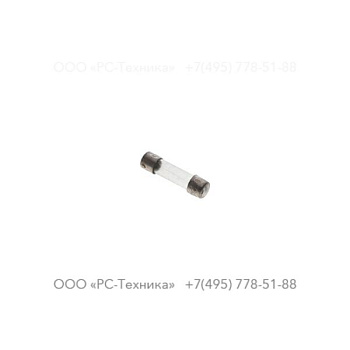 1028870162 FUSIVEL 250MA