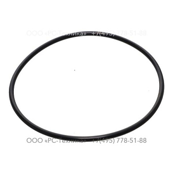 1607856408 O-RING 4+ SAE 61