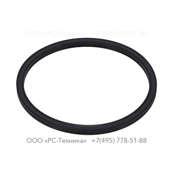 4810072654 COOLANT PUMP O-RING