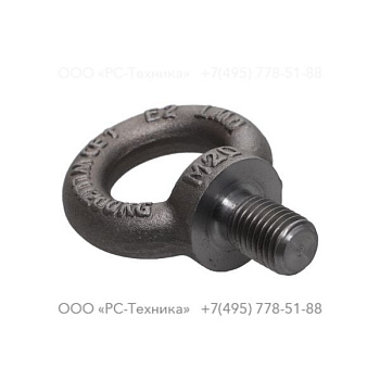 4810019612 EYE BOLT M20 DIN580