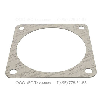 4810064432 FLANGE GASKET