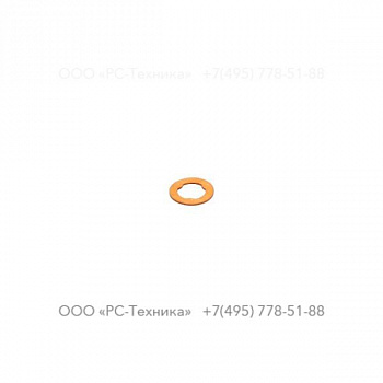 2913144800 SEALING RING