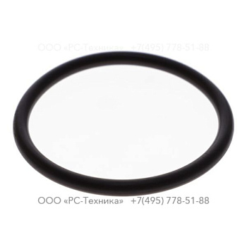 1619781100 SEAL RING