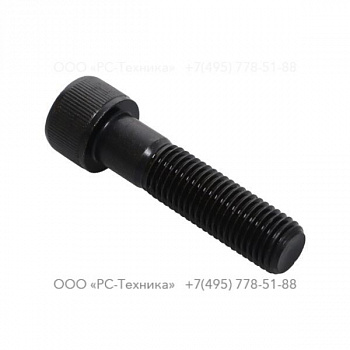 3376100141 SCREW M20X80