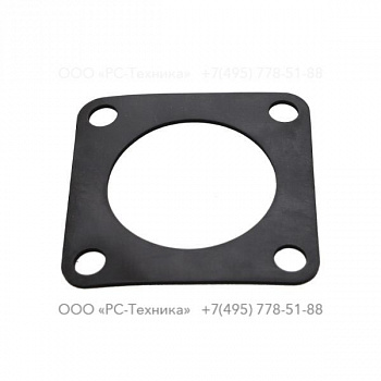 4810005676 GASKET