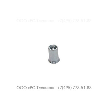 0298100024 BLIND RIVET NUT M8