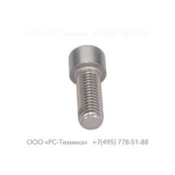 4810001914 SCREW