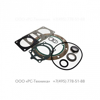 4810062056 SEAL KIT, PAS 100 HF
