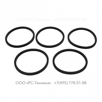 1636330199 SEAL RING (WATER PUMP)