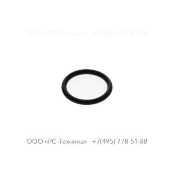 0663918400 O-ring