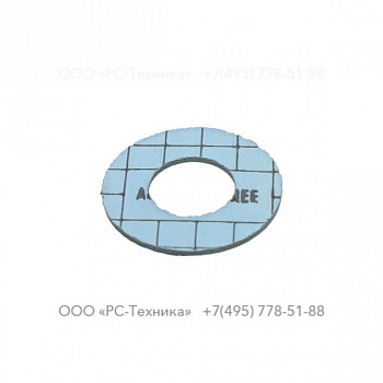 4810005594 FLANGE GASKET V 50-3R 25X52X2
