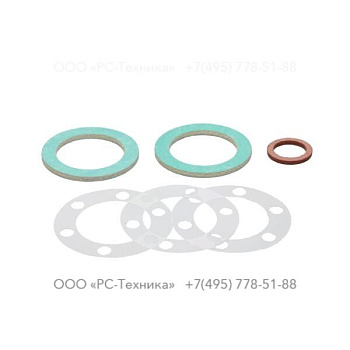 4810014958 SET OF GASKETS V 06 G