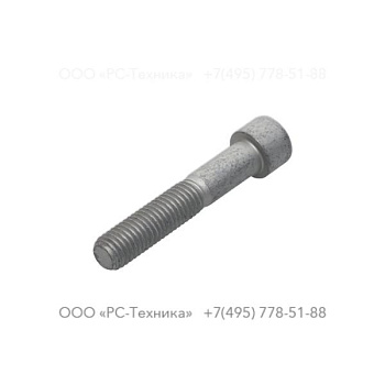 0211196426 SCREW