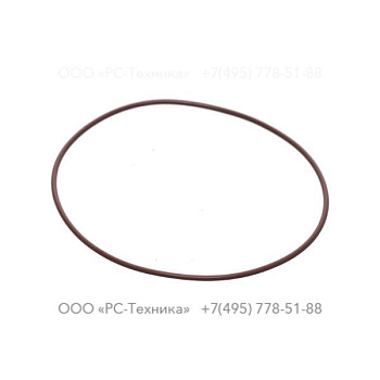 1607856104 O-RING
