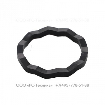 2914231700 RING