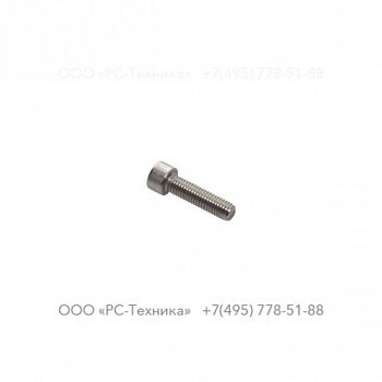 4810019937 SCREW