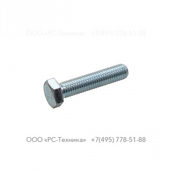 4810002002 SCREW