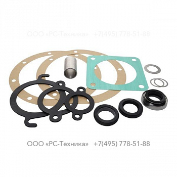 4810066702 SEAL KIT
