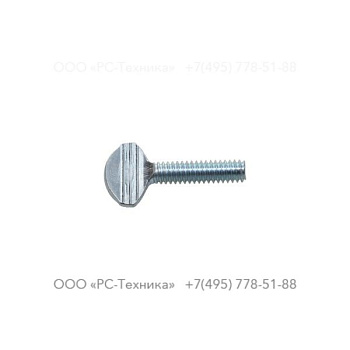 4810068601 SCREW