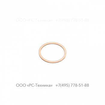 0653118900 GASKET 33 X 39 X 2