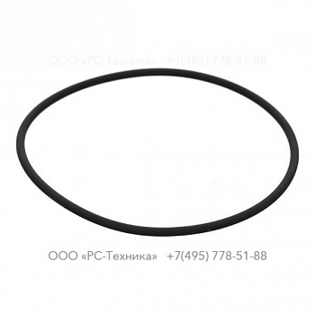 4810001222 O-RING