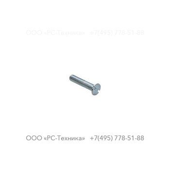 0162417400 SLOTTED SCREW
