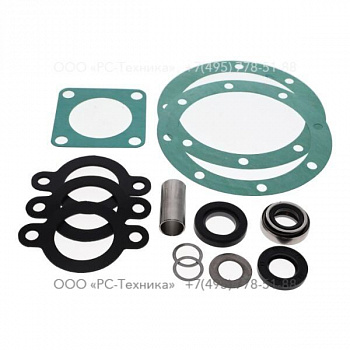 4810076799 SEAL KIT