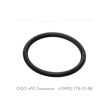 0663919100 ORING ID 37.69MM