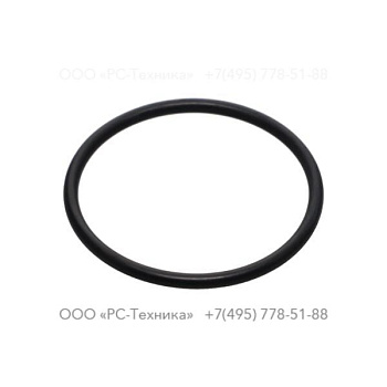 4810060222 O-RING