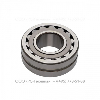 0506510900 BEARING