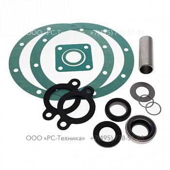 4810077642 SEAL KIT