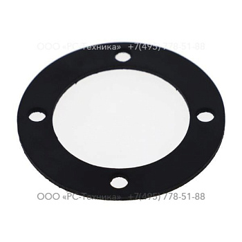 4810005718 GASKET