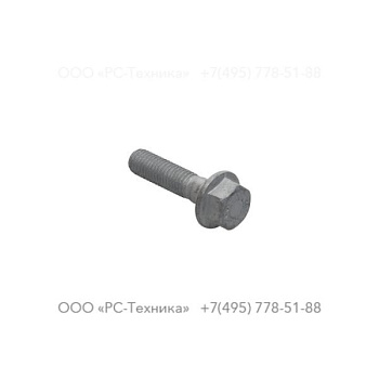 4810076896 SCREW