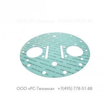 4810005518 GASKET