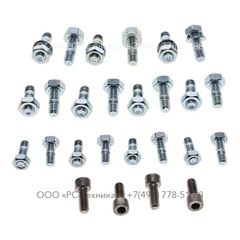 4810046206 SET OF SCREWS - PUMP